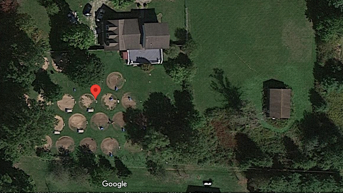 Ohio officials rescued 40 dogs after they received multiple calls of possible animal cruelty.