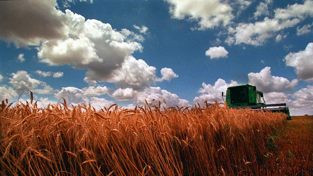 KRT BUSINESS STORY SLUGGED: FARM-CRISIS-FAREWELL KRT PHOTOGRAPH BY FRANCINE ORR/KANSAS CITY STAR (KRT17- July 22) As clouds begin to roll in from the west, ‘The Beast’ makes its way through a 40-acre wheat field on the Lundstrom’s farm, late in the afternoon on the third day of harvest. (Photo by KC) AP PL KD BL 1999 (Horiz) (lde) (Additional photos available on KRT Direct, KRT/PressLink or upon request)-- NO MAGS, NO SALES --