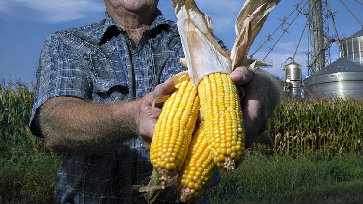 The American farmer today is asked to pay $1 million for equipment to harvest crops selling at 19th century prices.