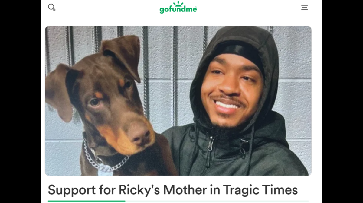 A 30-year-old man is accused of shooting his 28-year-old brother during an argument over the family dog, police said. Their mom called 911.