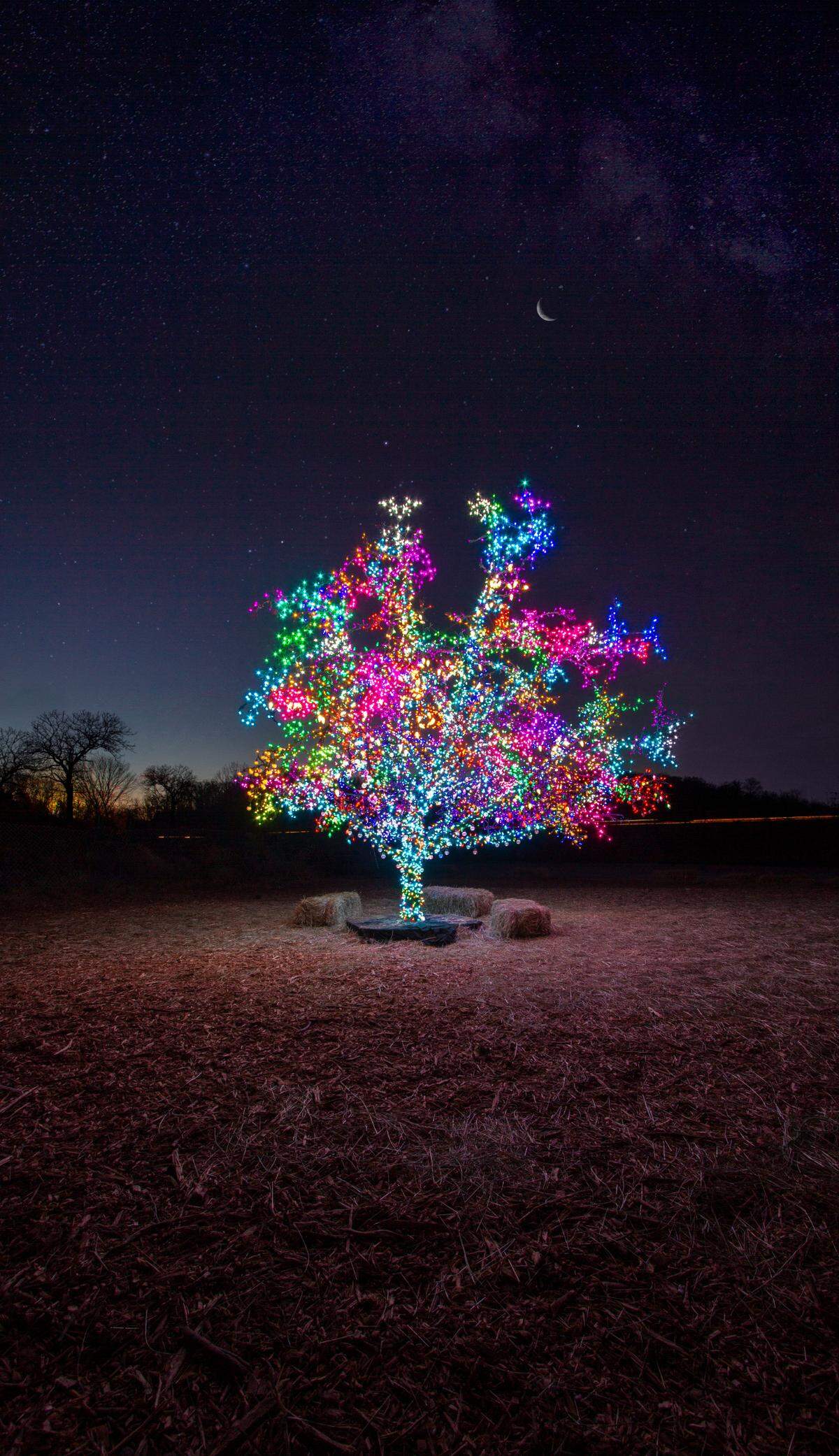 The tree, which holds 17,000 lights, is a beacon in Lee’s Summit.