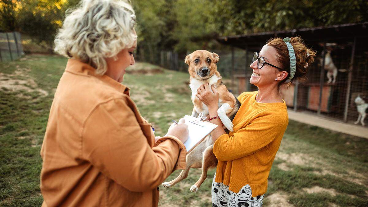 Waldo’s KC PAWS has rehomed nearly 150 dogs in the past year with a team of just six employees.