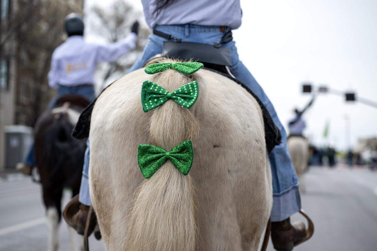 Green bows decorate the tail of a horse from the Rolling G Horse Club Kansas City during the St. Patrick's Day parade on Tuesday, March 17, 2026.