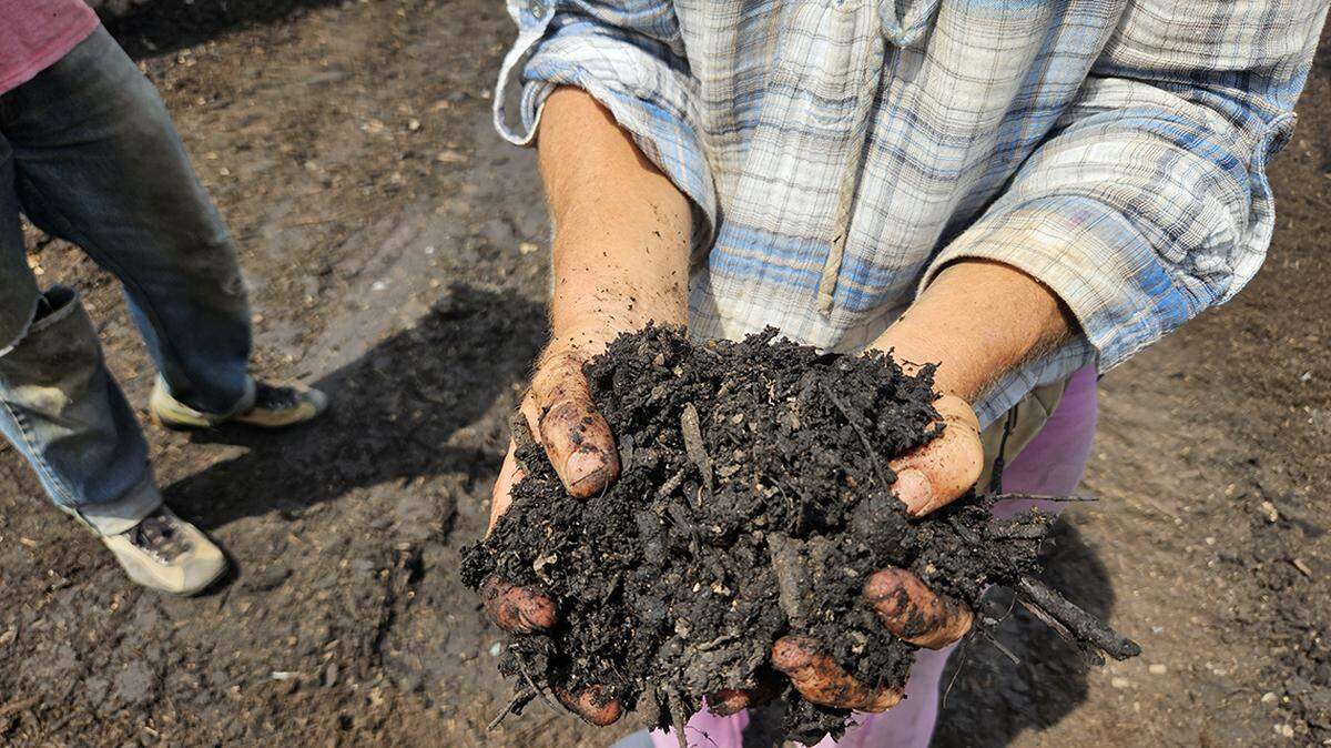 Urbavore produces high-quality compost to grow its crops.
