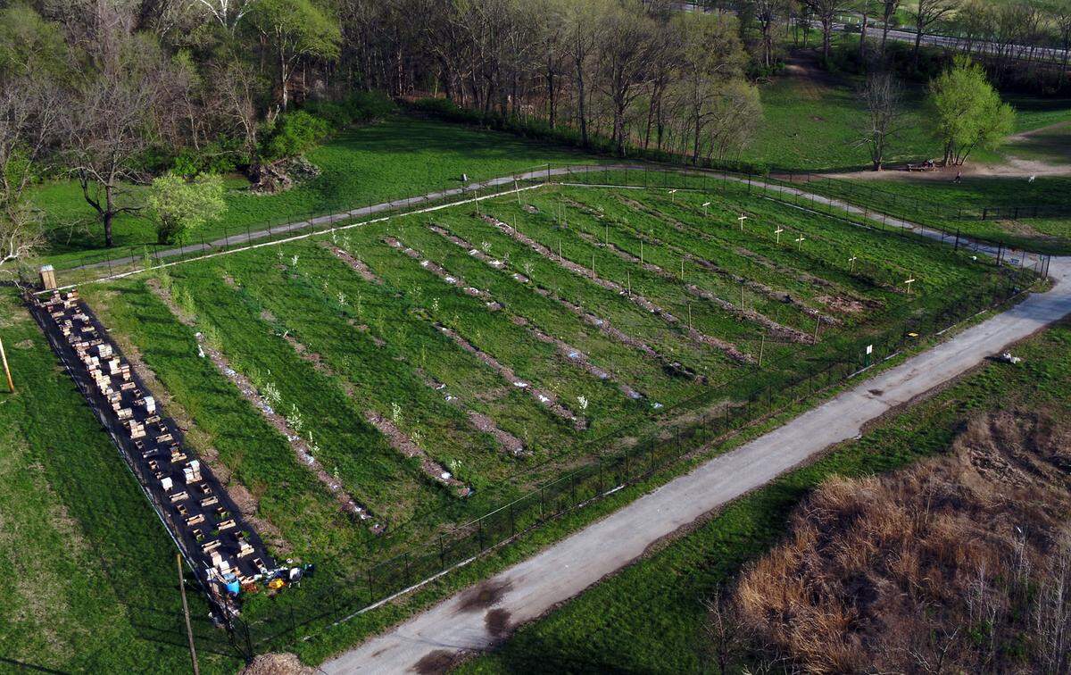 Aerial of the Kansas City Urban Orchard.