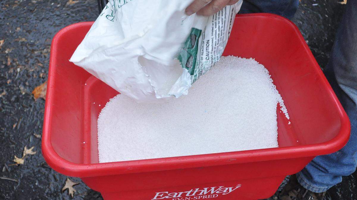 Aside from September, the second most important time to fertilize is mid-November.
