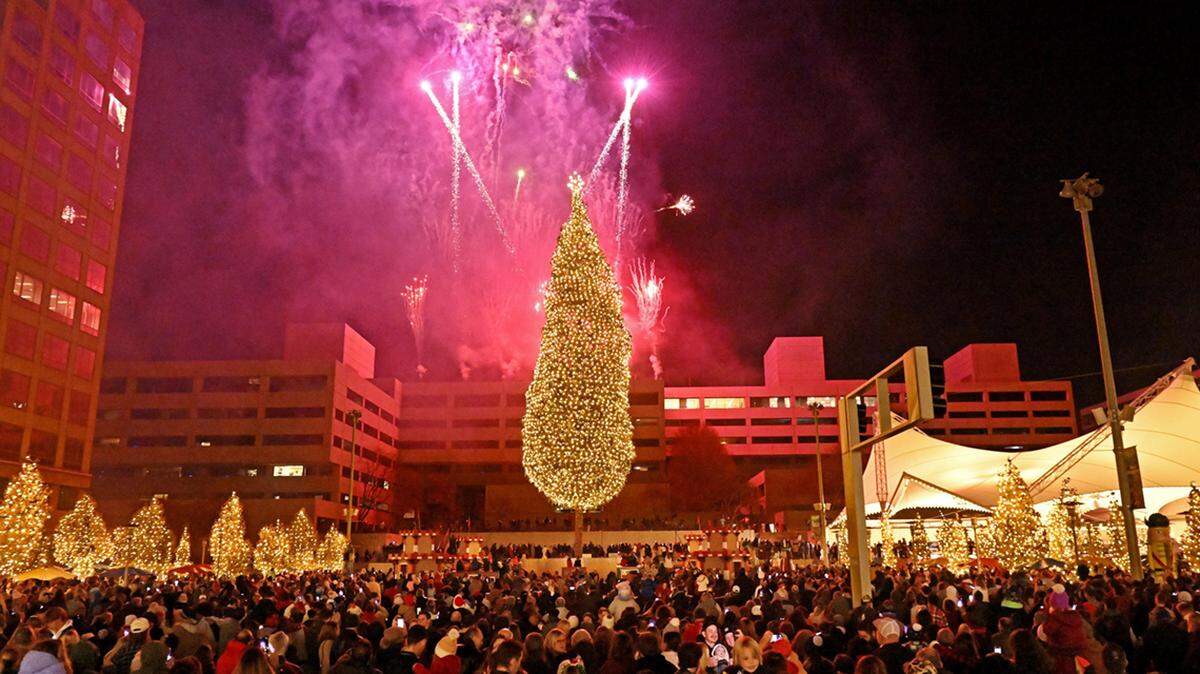 Count this author as unimpressed at the upside-down-champagne-glass-looking shrub the city puts up every year.