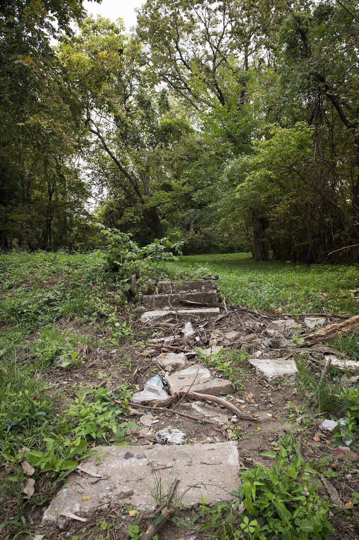 Steps to a vacant lot in the 3000 block of Hutchings Street in Kansas City, Kan., near where on April 15, 1994, two men sitting in a blue Cadillac were shot to death.