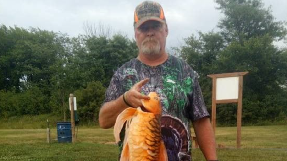 A fisherman recently reeled in a 9-pound butterfly koi goldfish out of Missouri waters, wildlife officials say.