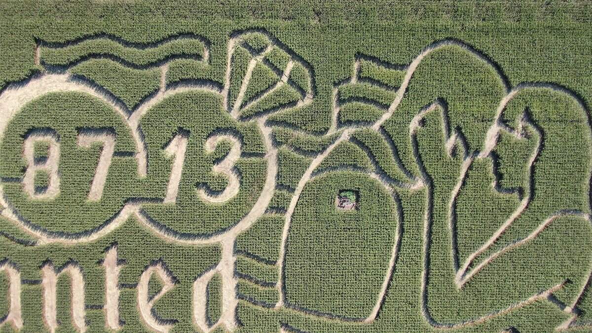 A detail of the new corn maze celebrating the love story of Chiefs tight Travis Kelce and pop superstar Taylor Swift. The maze was carved by Precision Mazes into a 9-acre cornfield at Johnson Farms Plants and Pumpkins in Belton, Missouri.