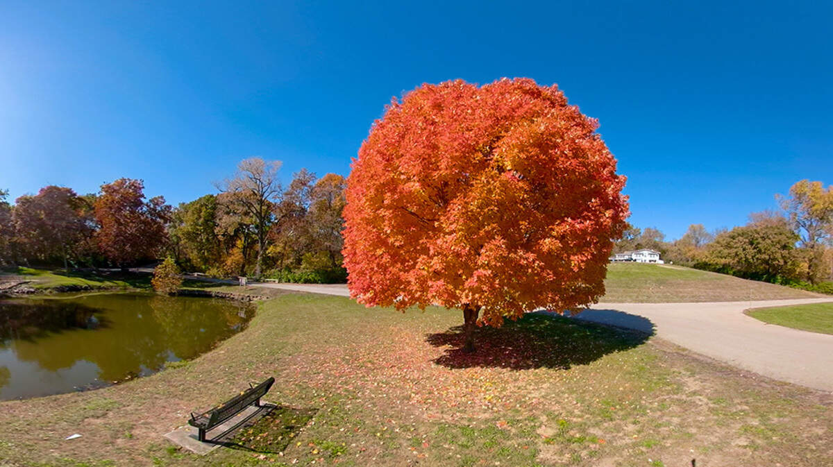 Trees around Wyandotte County Lake showcased intense fall colors in this file photo. The National Weather Service shared Kansas City’s weather outlook for fall 2024.