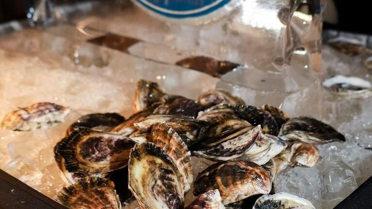 A new oyster bar is coming to Kansas City, serving sparkling wine and martinis