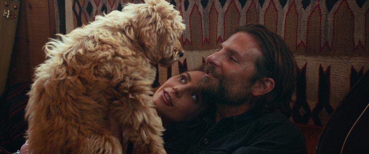 In “A Star Is Born,” Jackson and Ally (Bradley Cooper and Lady Gaga) get a dog. That’s Charlie, Cooper’s real-life pet.