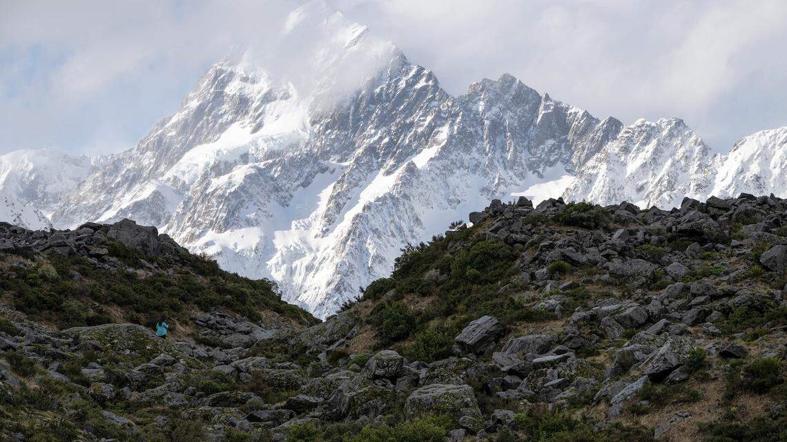 What Happened to Lost Dog Who Was Stranded in New Zealand? Everything to Know About Rescue