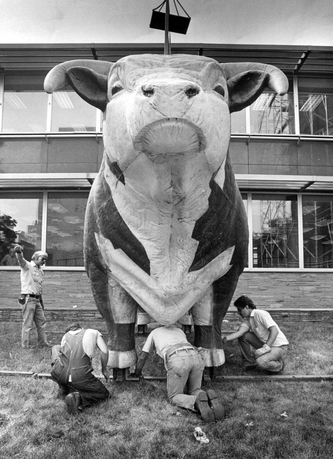 Maintenance work is performed on the bull in 1986.