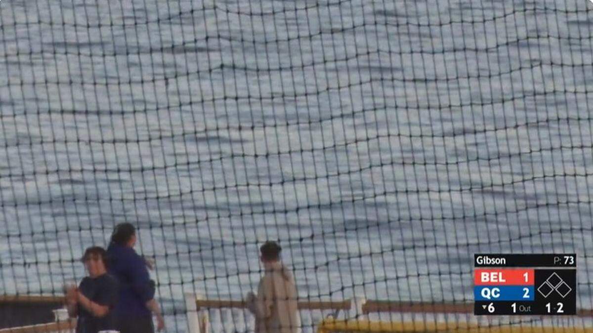 Good luck finding that baseball.