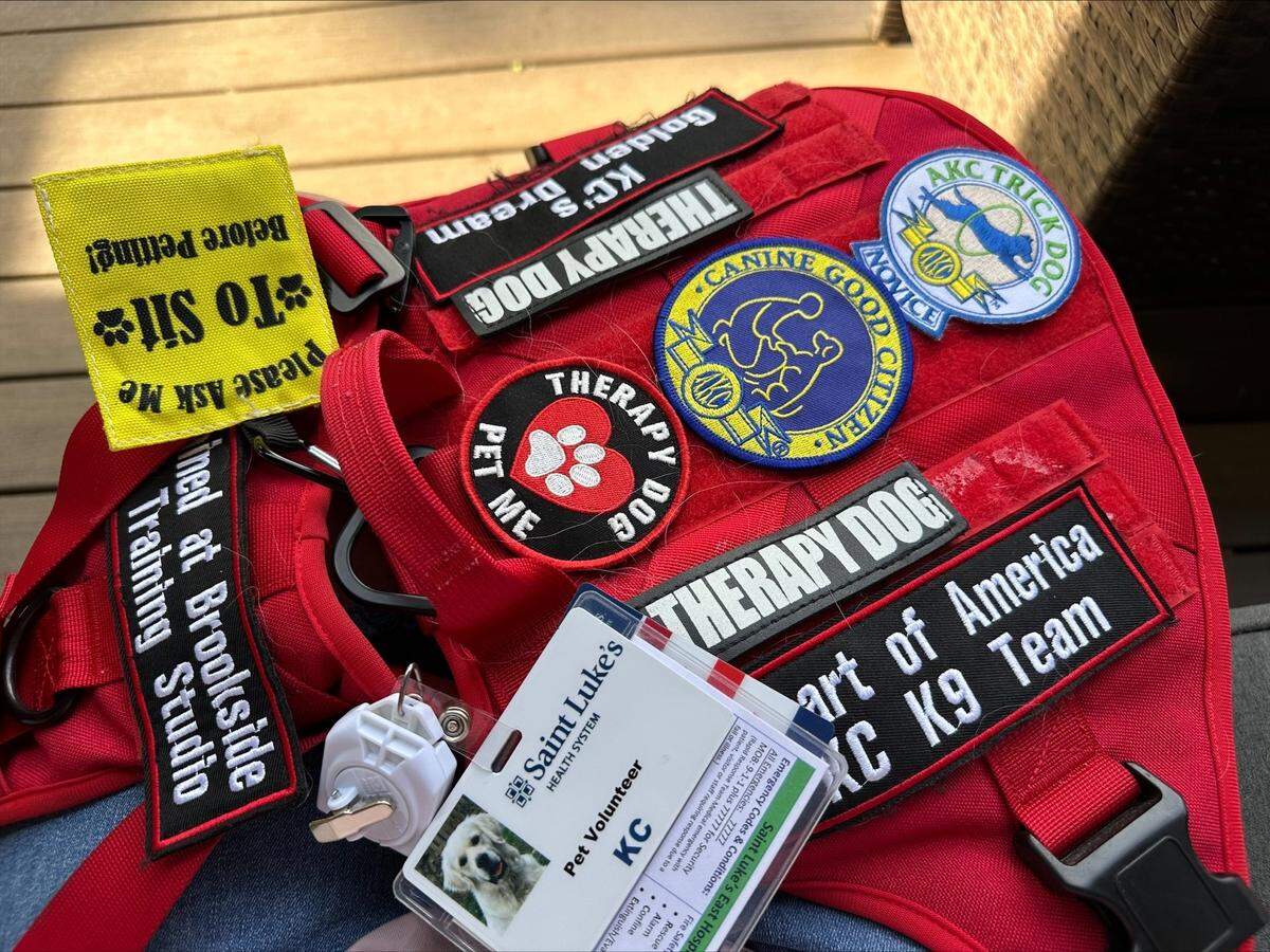 KC’s therapy dog vest is adorned with patches and his St. Lukes ID badge.