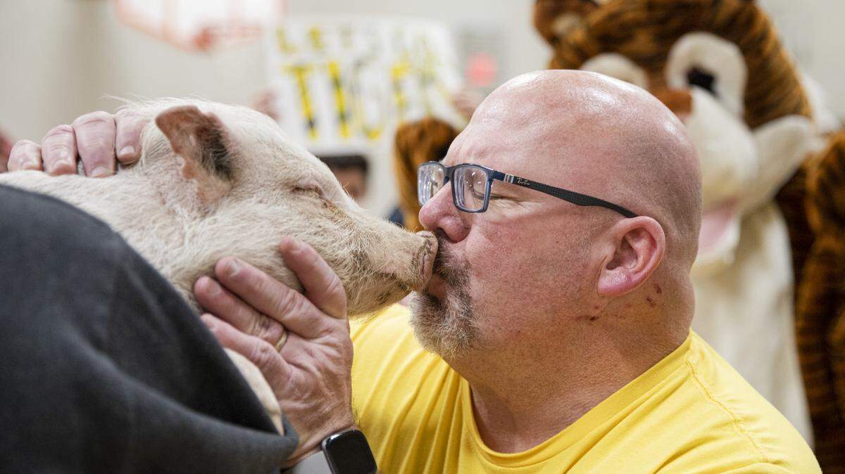 School principal Aaron Barnett kisses Dudley, a 9-month old piglet, as a reward for his students raising $7,500 to buy new books for the school.