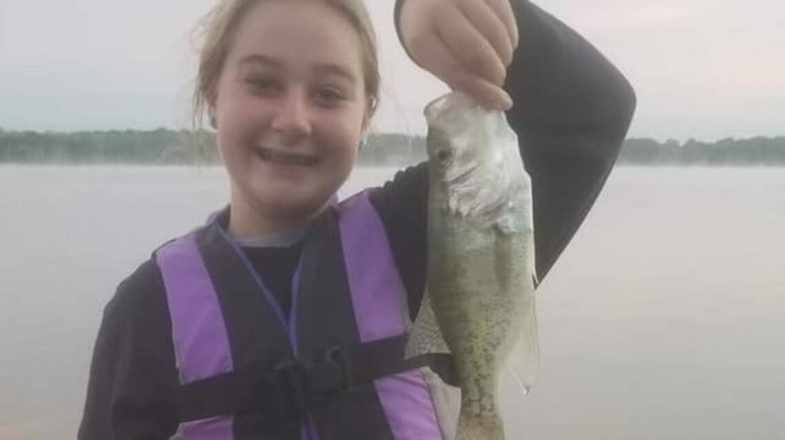Outdoors report: Find the bait and you’ll locate the fish, too ... and here’s a survey