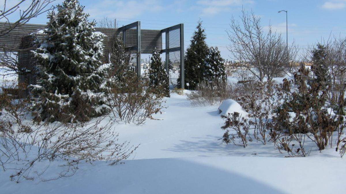 Thanks to evergreens and a variety of shapes, the garden gallery demonstration garden is even lovely in winter.