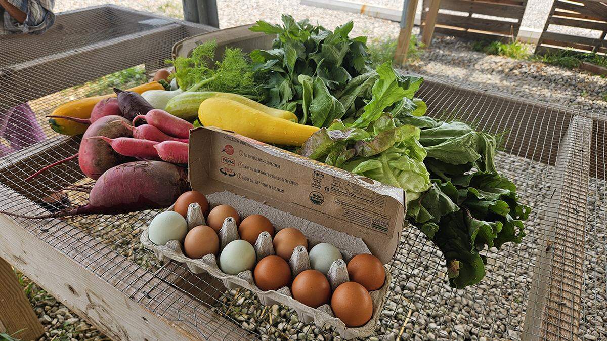About 100 cars drive up a dead-end residential street every week to pick up vegetables and eggs.