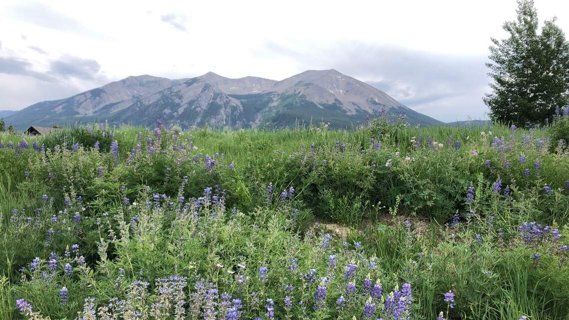 The best-laid vacation plans to the mountains can disappear in a sneeze
