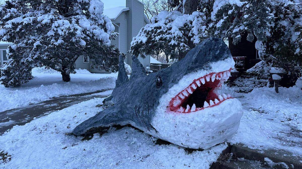 Iowa artist Carlos Maldonado used snow to sculpt a massive shark in his front yard, photos show. 