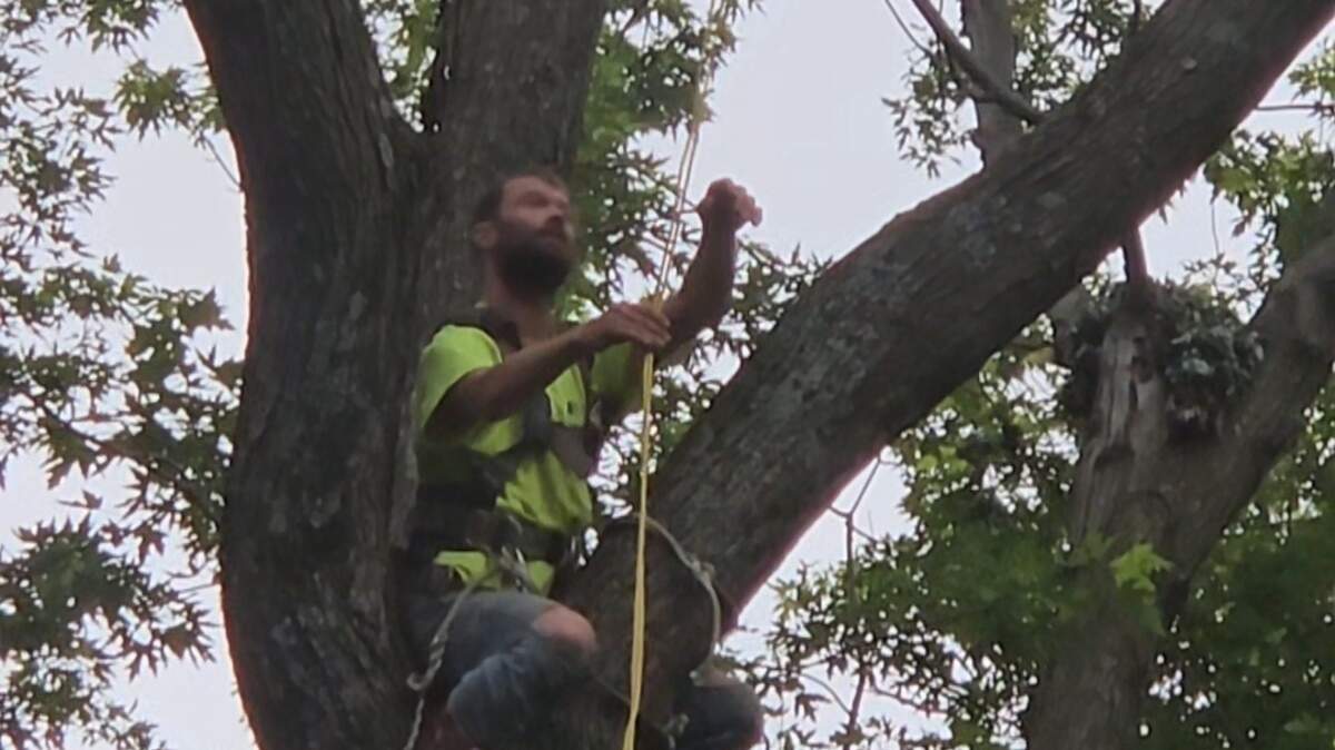 A Kansas City Fire Department drone delivers a rope and harness to a man stuck in a tree in Raytown on May 31.