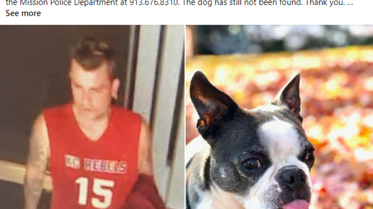 A pet detective helped return a dog to her owner Sunday after the dog had been stolen along with a vehicle last Monday, police said. The man who allegedly stole the car and dog has not been found.