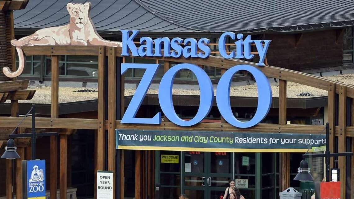 The Kansas City Zoo will reopen this weekend. What you need to know before you go