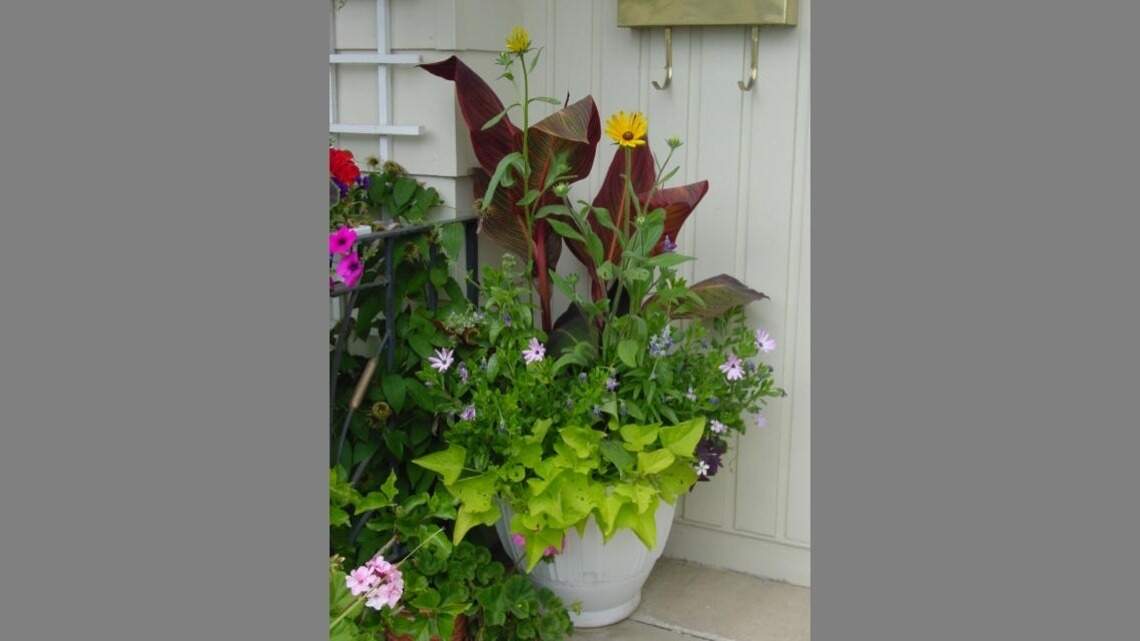 Love container gardens? Don’t be stingy with these essential ingredients