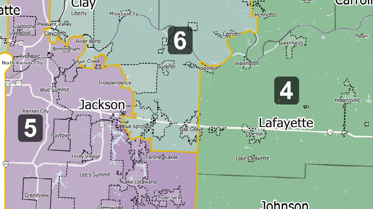 Congressional maps proposed by Rep. Dan Shaul, as it appears in the Kansas City area.