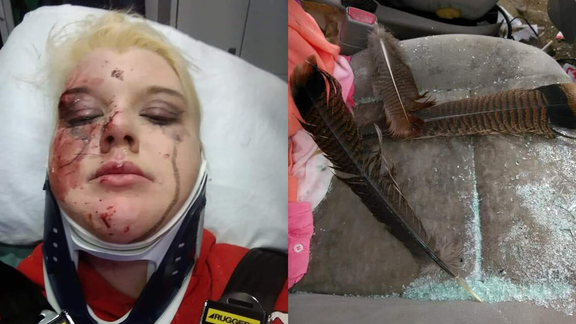 A turkey crashed through their windshield; woman is happy to be alive