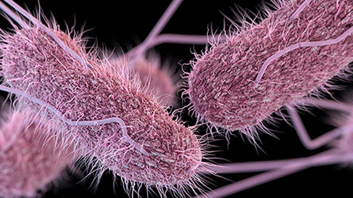 An outbreak of Salmonella Oranienburg has sickened at least 127 people across the U.S. Photo from CDC.
