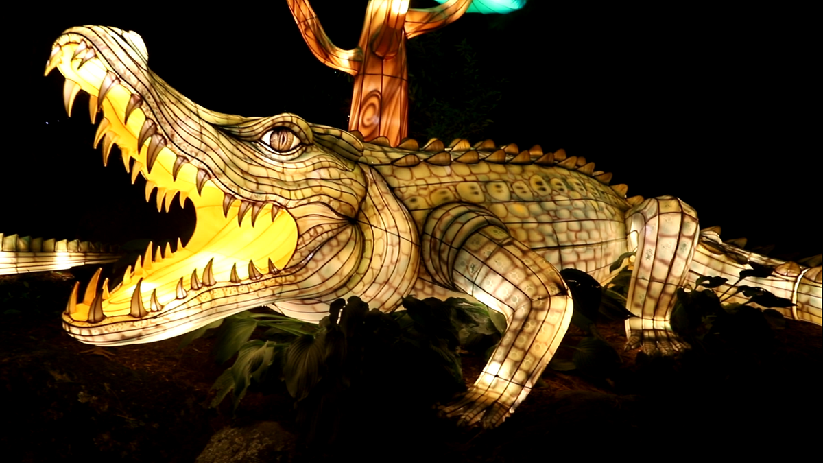 Popular lantern event will return to Kansas City Zoo for fifth year