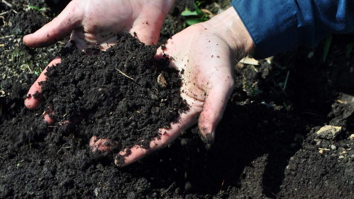 How healthy is your soil? Steps to take in fall for a bountiful spring