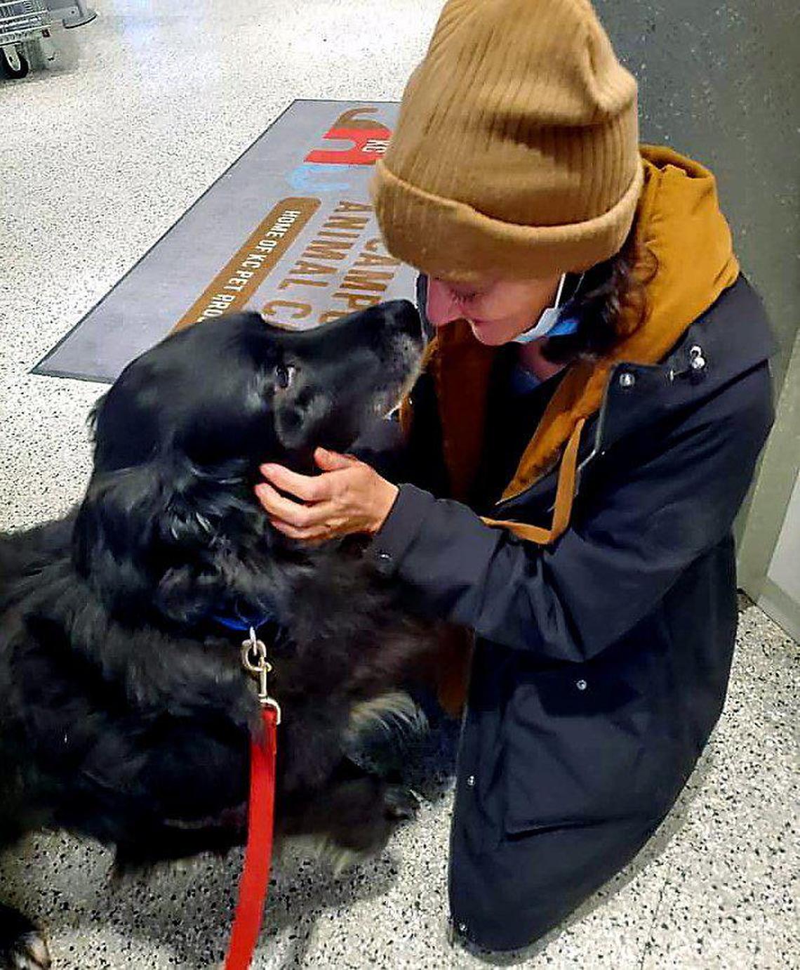After 57 days without her dog, Ceasar, Suzette Hudspeth is reunited with him. The Home Away from Home program at KC Pet Project found a family to care for Ceasar while Hudspeth found a new home.