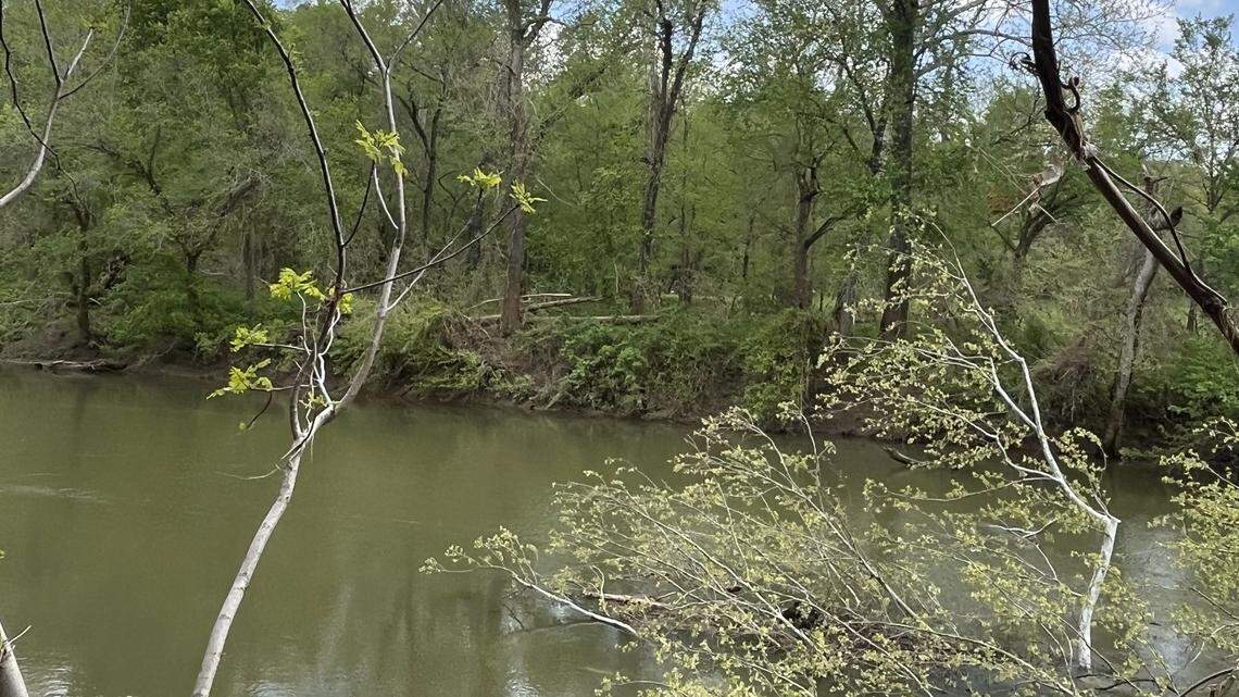 Two baby eagles were rescued after their nest fell into a river, Missouri officials said.