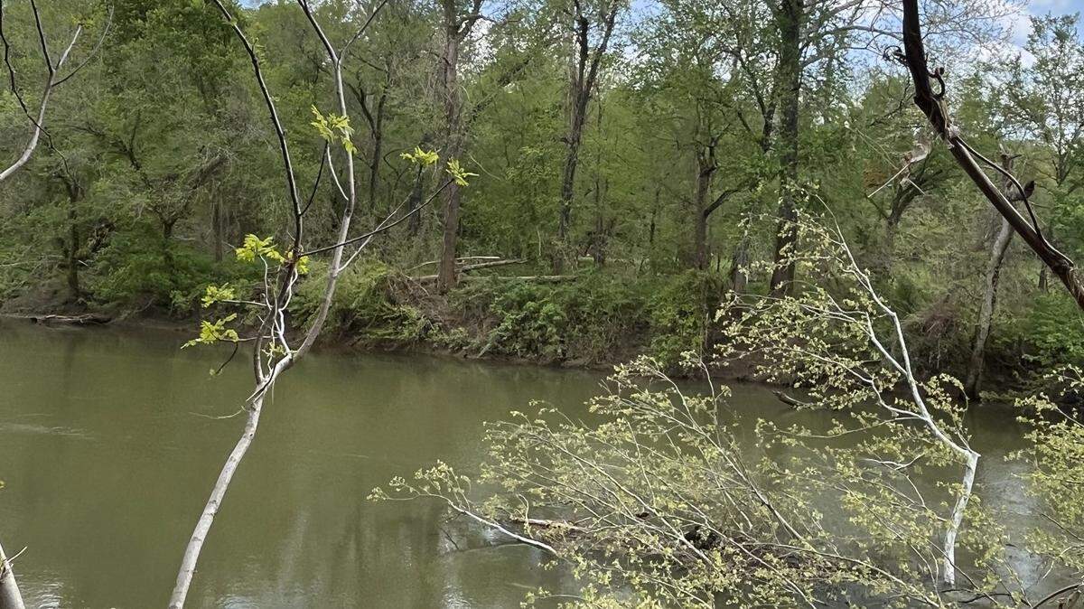 Two baby eagles were rescued after their nest fell into a river, Missouri officials said.