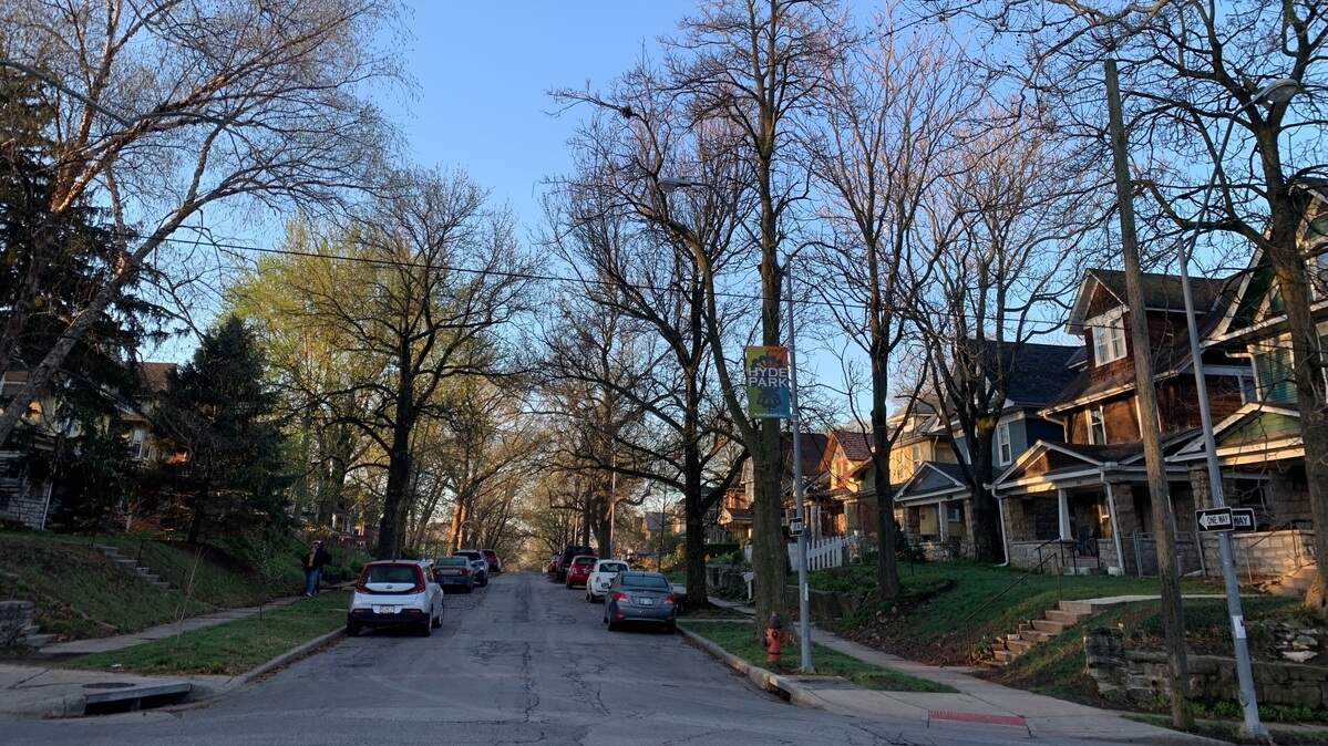 A spring morning on Campbell Street in Hyde Park.