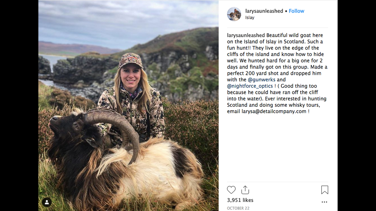 American hunter Larysa Switlyk angered people after she posted a photo of a wild goat she shot and killed in Scotland. Police there say she has been reported for alleged firearms offenses. (Instagram)