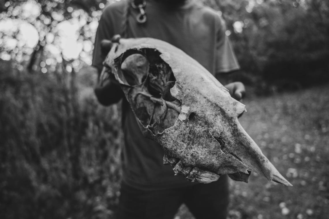 A horse skull is found at the Copper Boyz Ranch in Kansas City. Life and death is just as much part of the ranch as it is outside of it. Kansas City consistently holds a Top 10 ranking for murder rate per capita in the United States.