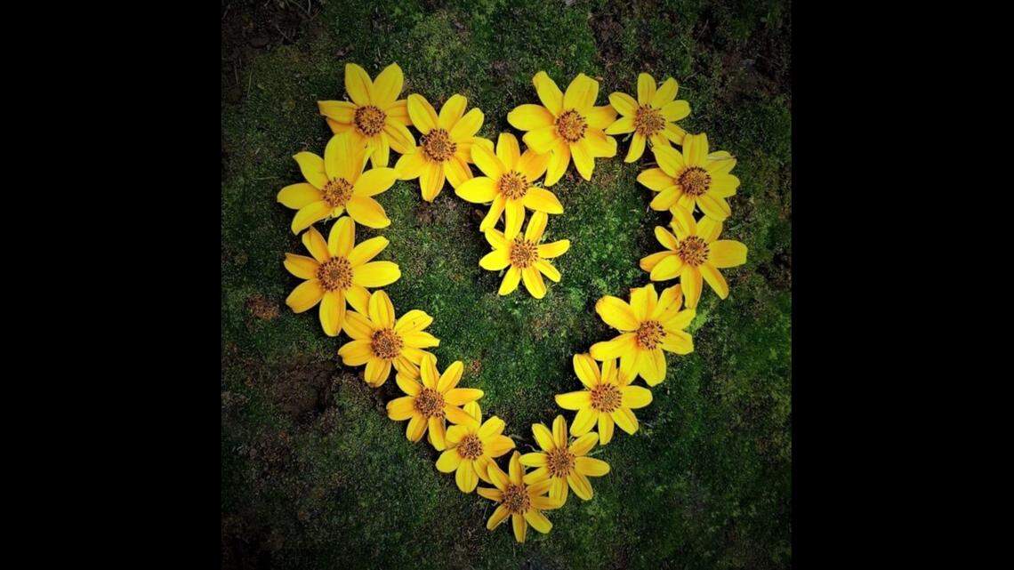 Grow tickseed, or any other bright bloom? The 2023 International Master Gardener Conference, which was held in Overland Park June 18-22, proved that you likely have a lot in common with others who love to garden.