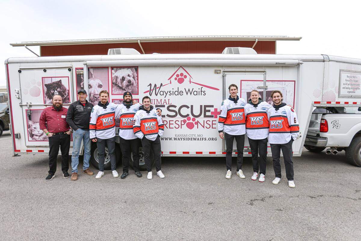 Kansas City Mavericks players spent time volunteering at the Wayside Waifs animal shelter this week, spreading holiday cheer.
