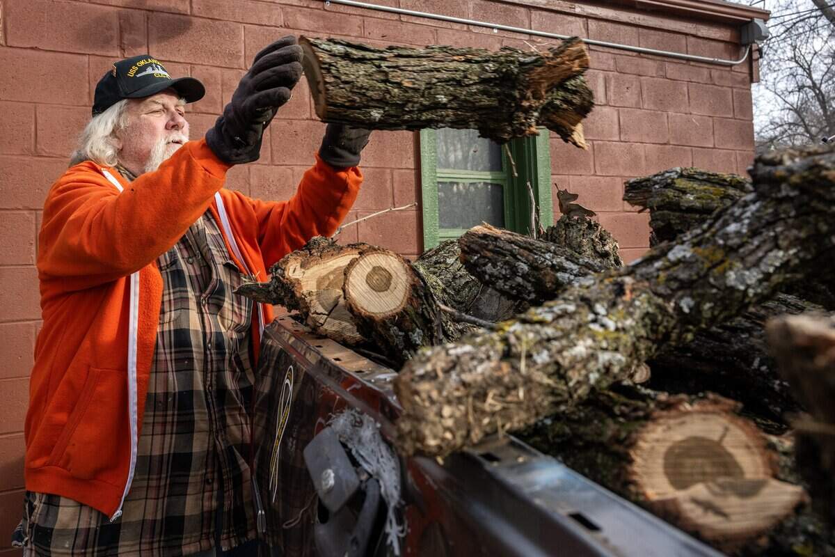 Jeff Holman loads pieces of wood cut from a 250-year-old bur oak tree into his pickup truck on Tuesday, Jan. 13, 2026, in Kansas City.