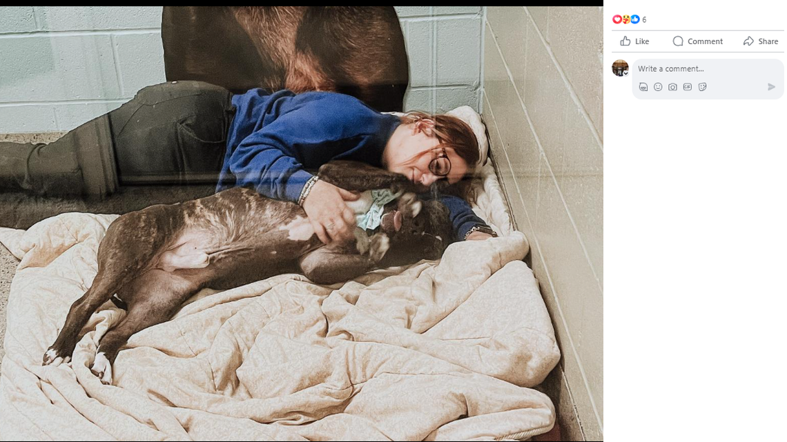 Shelter life has made one dog physically ill from stress and depression, an Indiana shelter said. He urgently needs a home. 