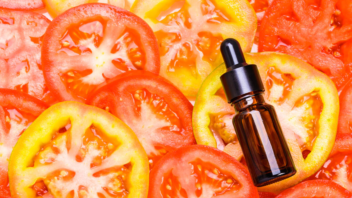 Warum Duftliebhaber plötzlich vom Duft von Tomatenblättern besessen sind