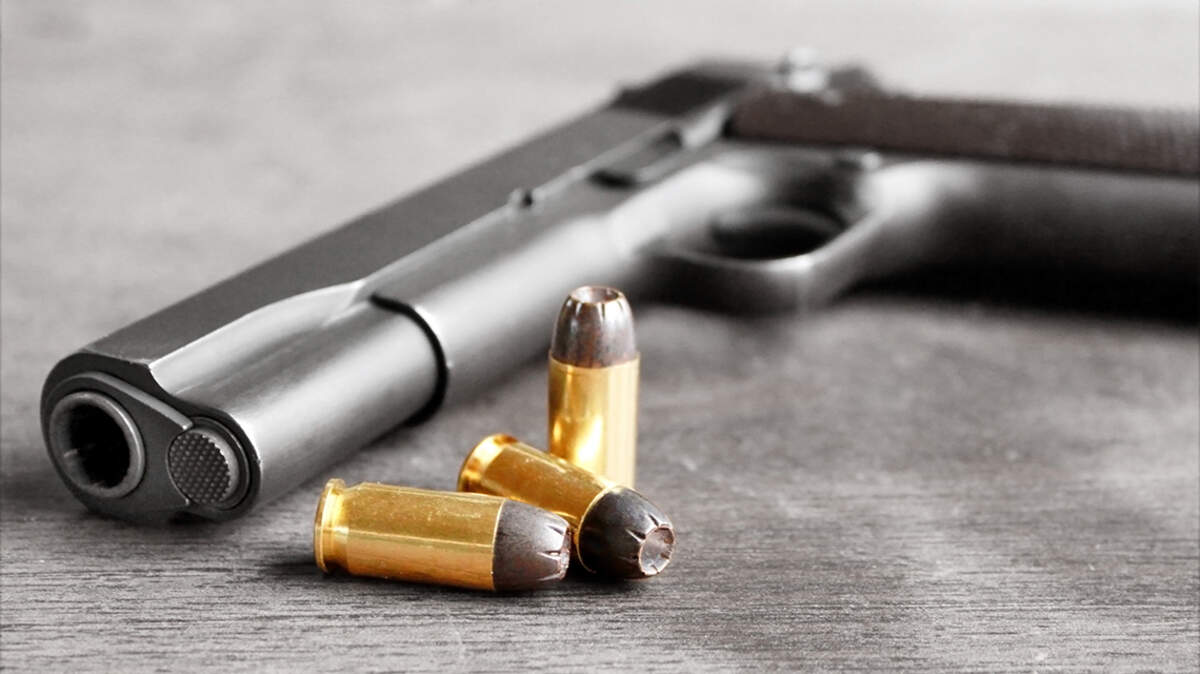 “There really is no epidemic of mass killings; the epidemic is in the level of fear that is way out of proportion with the risk,” said a professor who studies gun violence.