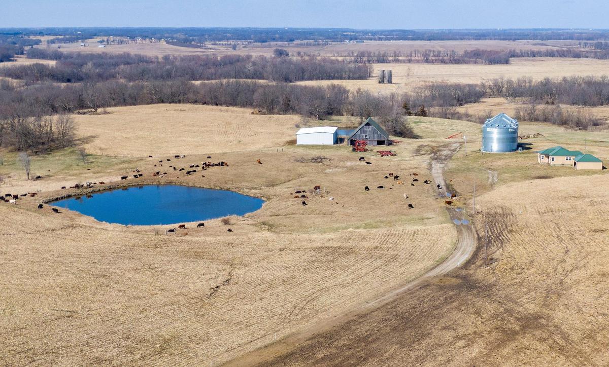 An aerial view of land where United Hogs proposed confined animal feeding operation (CAFO) would be built in Livingston County, Missouri. The CAFO would house more than 10,000 breeding sows, boars and piglets and include a 4,000-square-foot barn to compost dead animals. Collectively, the structures would span more than 253,000-square feet.