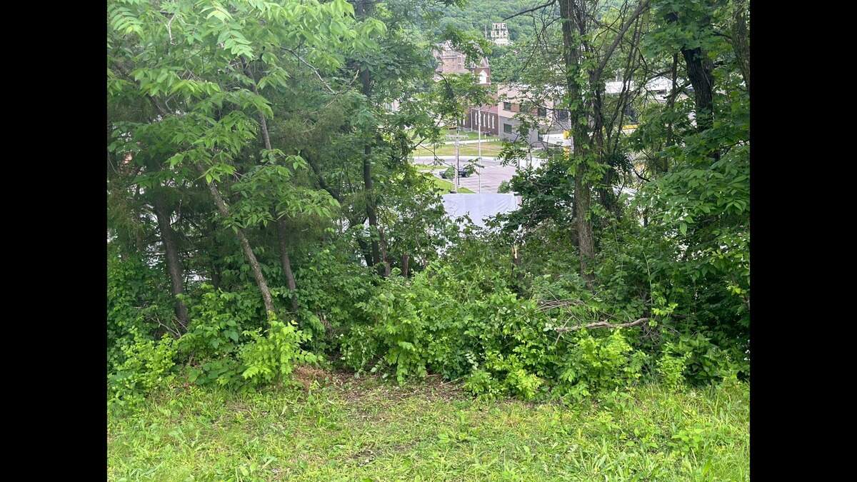 A hole through the shrubbery on Wildwood Street is where officials say one of the vehicles drove through to crash into the Clay-Ray VA building. 
